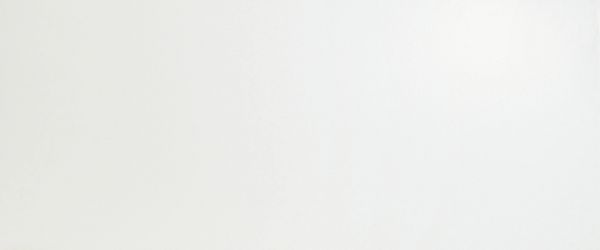 A6BF Solid White Matt 50x120