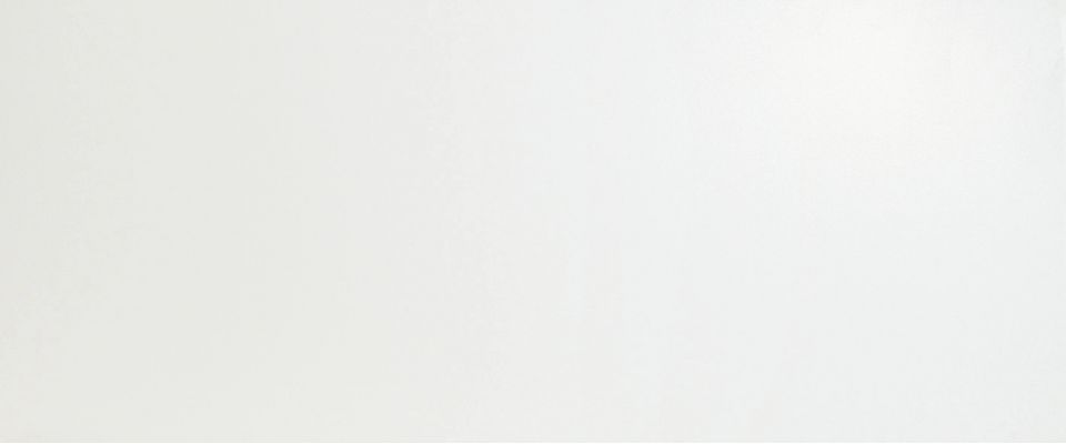 A6BF Solid White Matt 50x120