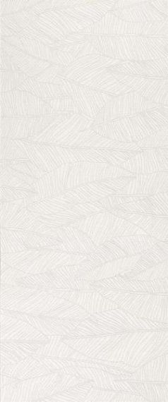 A6FC White Leaf 50x120