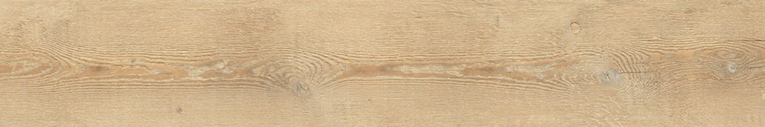 A94009 CA FOSCARI AVANA RETT. 20X120