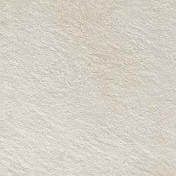 AA8C Trust Moon 60x60