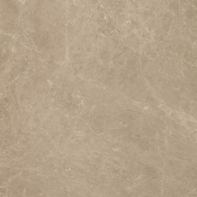AAIS Marvel Elegant Sable Lap. 75x75