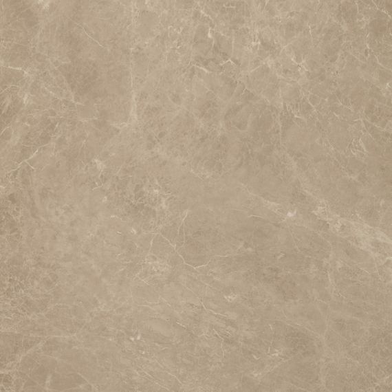 AAIS Marvel Elegant Sable Lap. 75x75