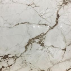 AB1099G Calacatta Bronze gloss 600x600