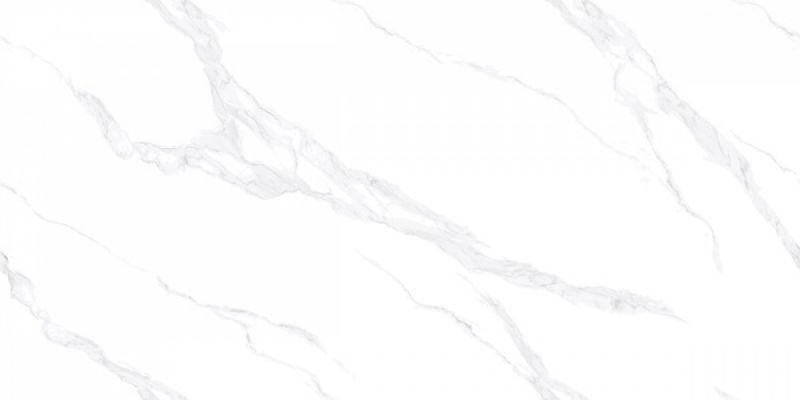 AB3116G Carrara Bianco 120x60