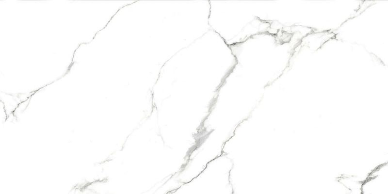 AB 1124G Statiario Titan gloss 1200x600