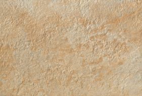 ACN3 Trust Gold 40x60