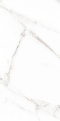 ACST Statuario Venato Rett Lucidato 60*120
