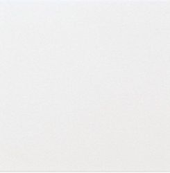 ADNE1025 LISO PB Blanco Z 15X15