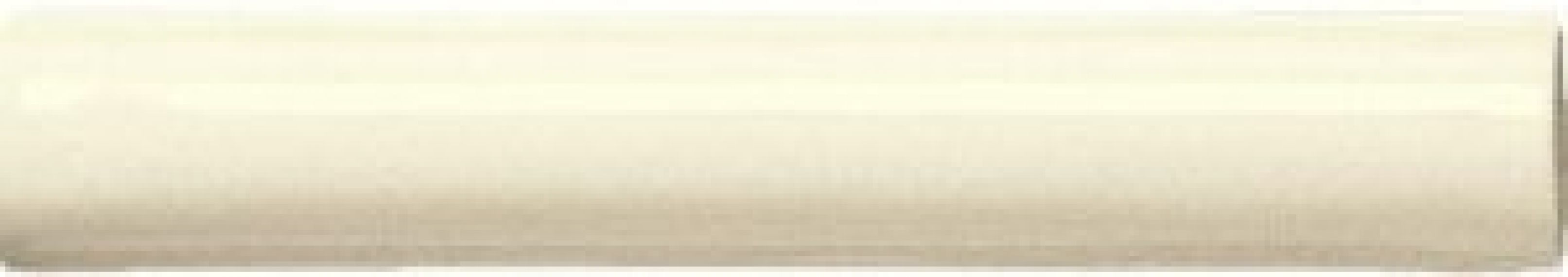 ADNE5092 Barra Lisa Biscuit 2,5х15