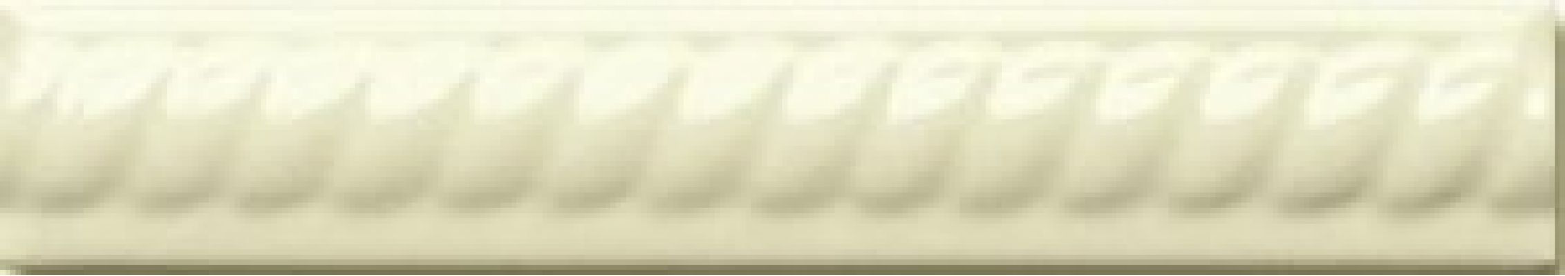 ADNE5156 Trenza PB Biscuit 2,5х15