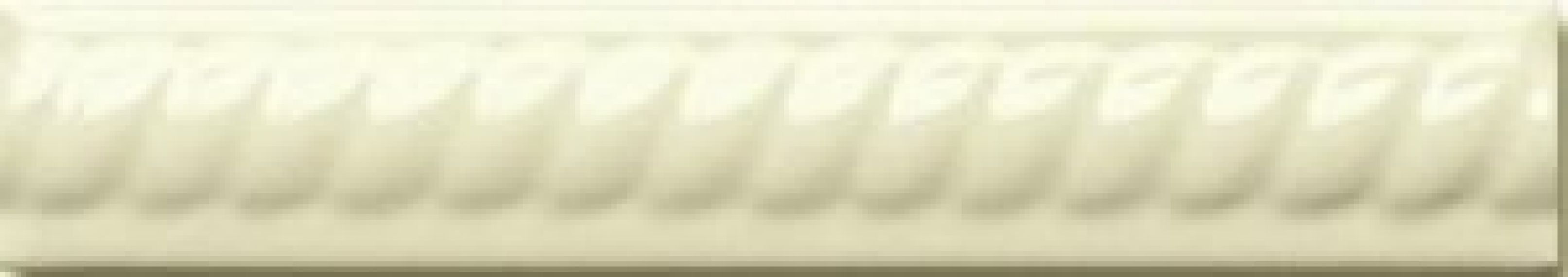 ADNE5156 Trenza PB Biscuit 2,5х15
