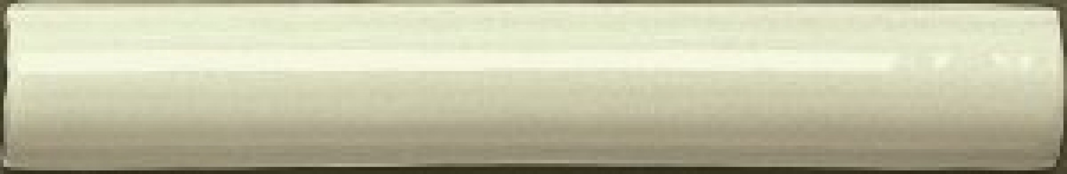 ADNE5161 Barra Lisa Celery 2,5х15