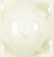 ADNE8017 Taco Esfera Biscuit 2х2