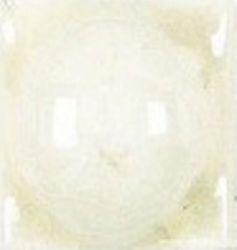 ADNE8017 Taco Esfera Biscuit 2х2