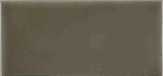 ADST1013 Liso Eucalyptus 7,3х14,8