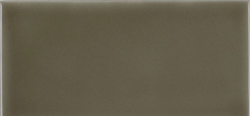 ADST1013 Liso Eucalyptus 7,3х14,8