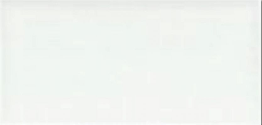ADST1019 Плитка LISO SNOW CAP 9.8X19.8