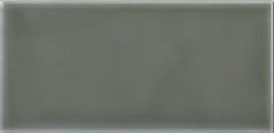 ADST1022 Плитка LISO EUCALYPTUS 9.8X19.8