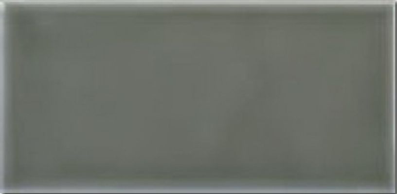 ADST1022 Плитка LISO EUCALYPTUS 9.8X19.8