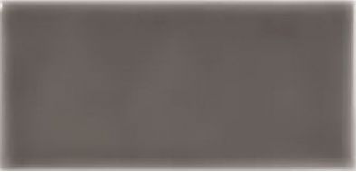 ADST1023 Плитка LISO TIMBERLINE 9.8X19.8
