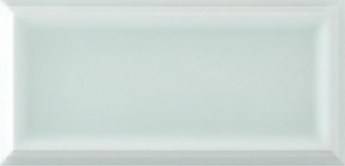 ADST1068 LISO FRAMED FERN 7.3x14.8