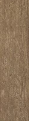 AE7S Axi Brown Chestnut 22.5x90 Strutturato