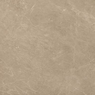 AEN1 Marvel Elegant Sable Lap. 60x60