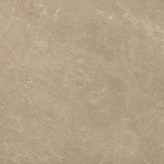 AEN1 Marvel Elegant Sable Lap. 60x60