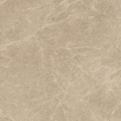 AENK Marvel Elegant Sable Lappato 120x120
