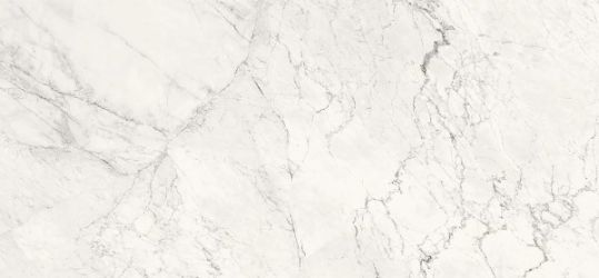 AE CAL6 260 LP 120x260
