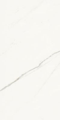 AE EXT6 12 RM Керамогранит 60x120