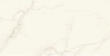AFU2 Marvel Calacatta Apuano Lappato 120x240