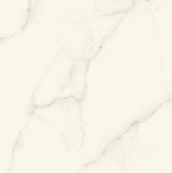 AFU7 Marvel Calacatta Apuano Lappato 120x120