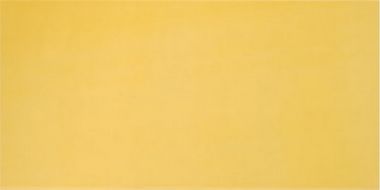 AGATHA AMARILLO 25x50