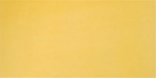 AGATHA AMARILLO 25x50