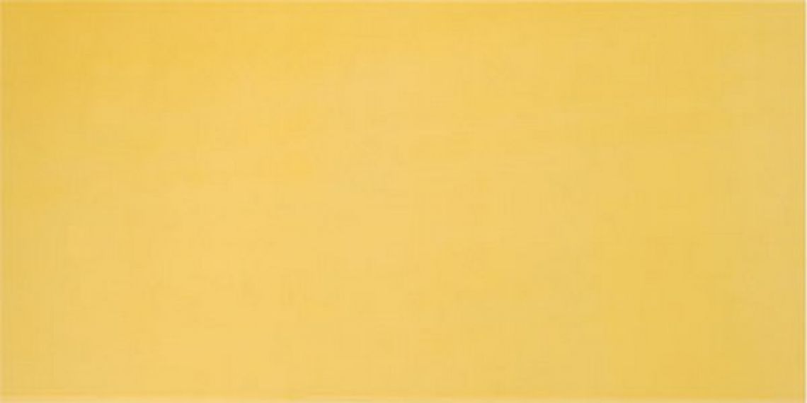 AGATHA AMARILLO 25x50