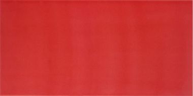 AGATHA CARMIN 25x50