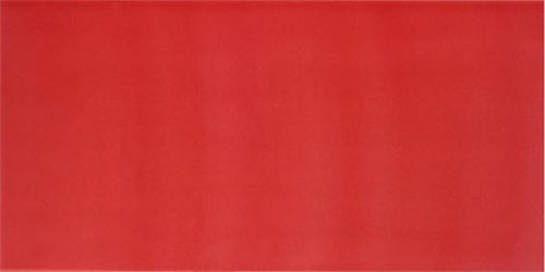 AGATHA CARMIN 25x50