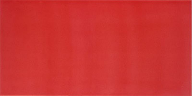 AGATHA CARMIN 25x50