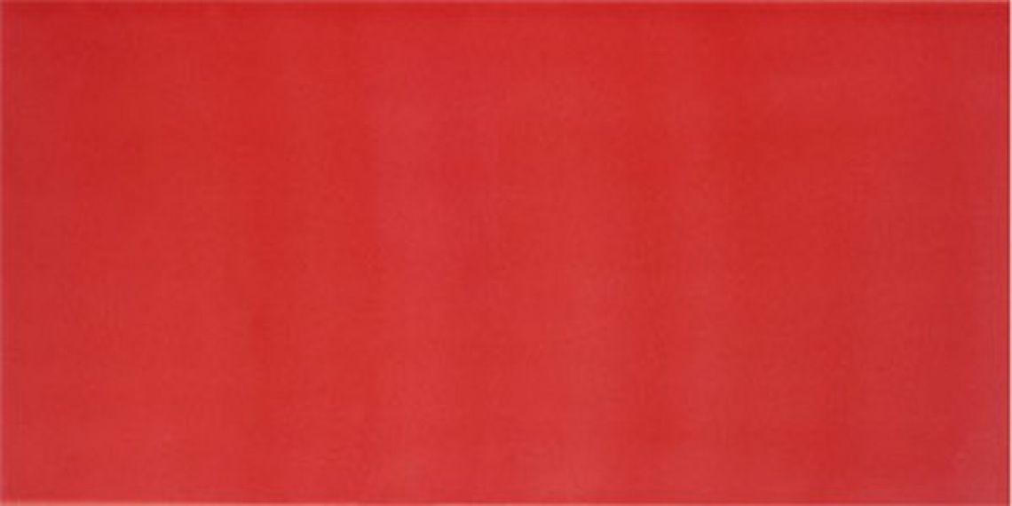 AGATHA CARMIN 25x50