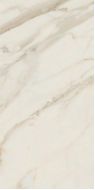 AGB0 GOLDEN WHITE 60x120