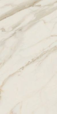 AGB0 GOLDEN WHITE 60x120