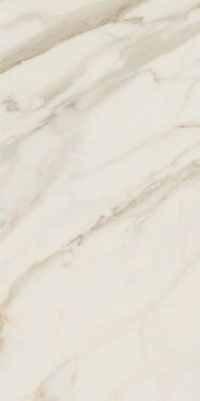 AGB0 GOLDEN WHITE 60x120