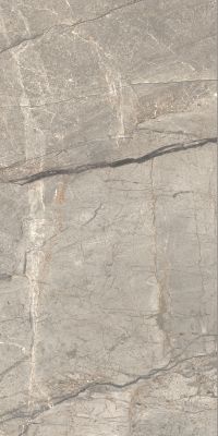 AGB2 Керамогранит Amazing Silver Matt 60x120