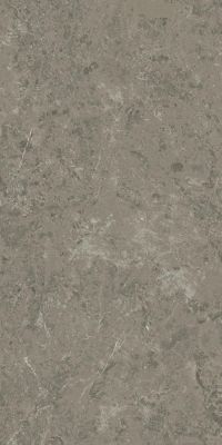 AI8R Marvel Meraviglia Grigio Elegante Velvet 60x120