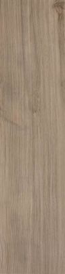 AJ8H Etic Rovere Grigio 22,5X90