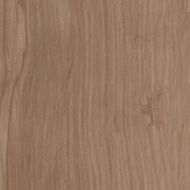 AM8T Etic Noce Bottone 7x7