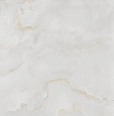 AMARNA SHELL (leviglass) Rect. 75x75