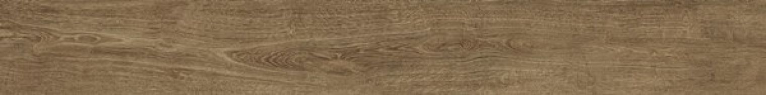AMHV Arbor Cognac 30x240